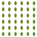 Green leaf seamless pattern. Design element stock vector illustration Royalty Free Stock Photo